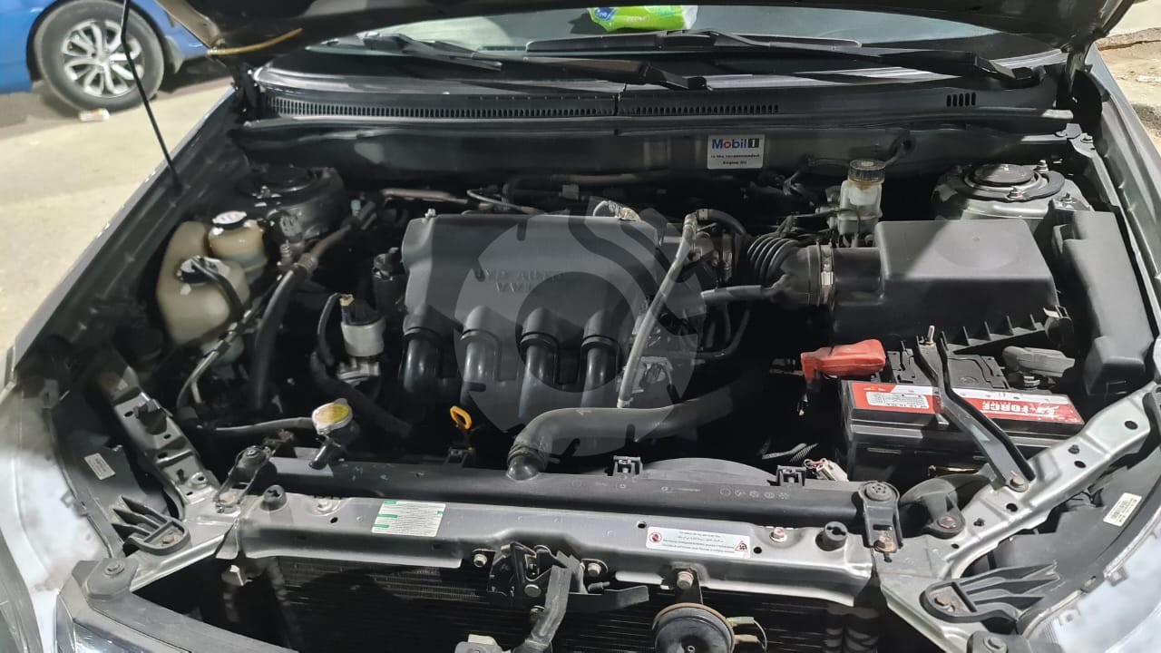 بى واى دى F3 2021 - 6